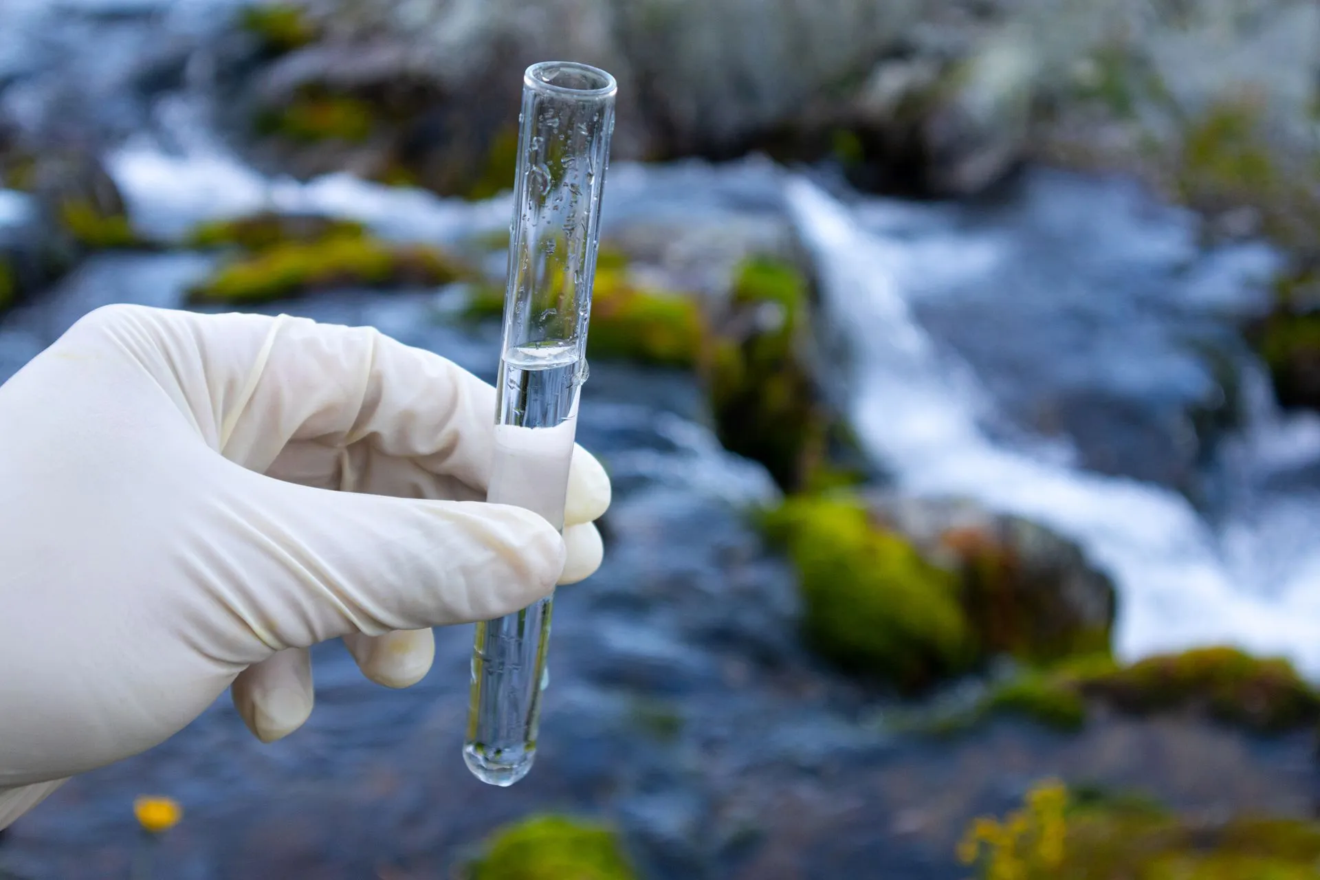 professional bacteria testing in Palm Bay FL