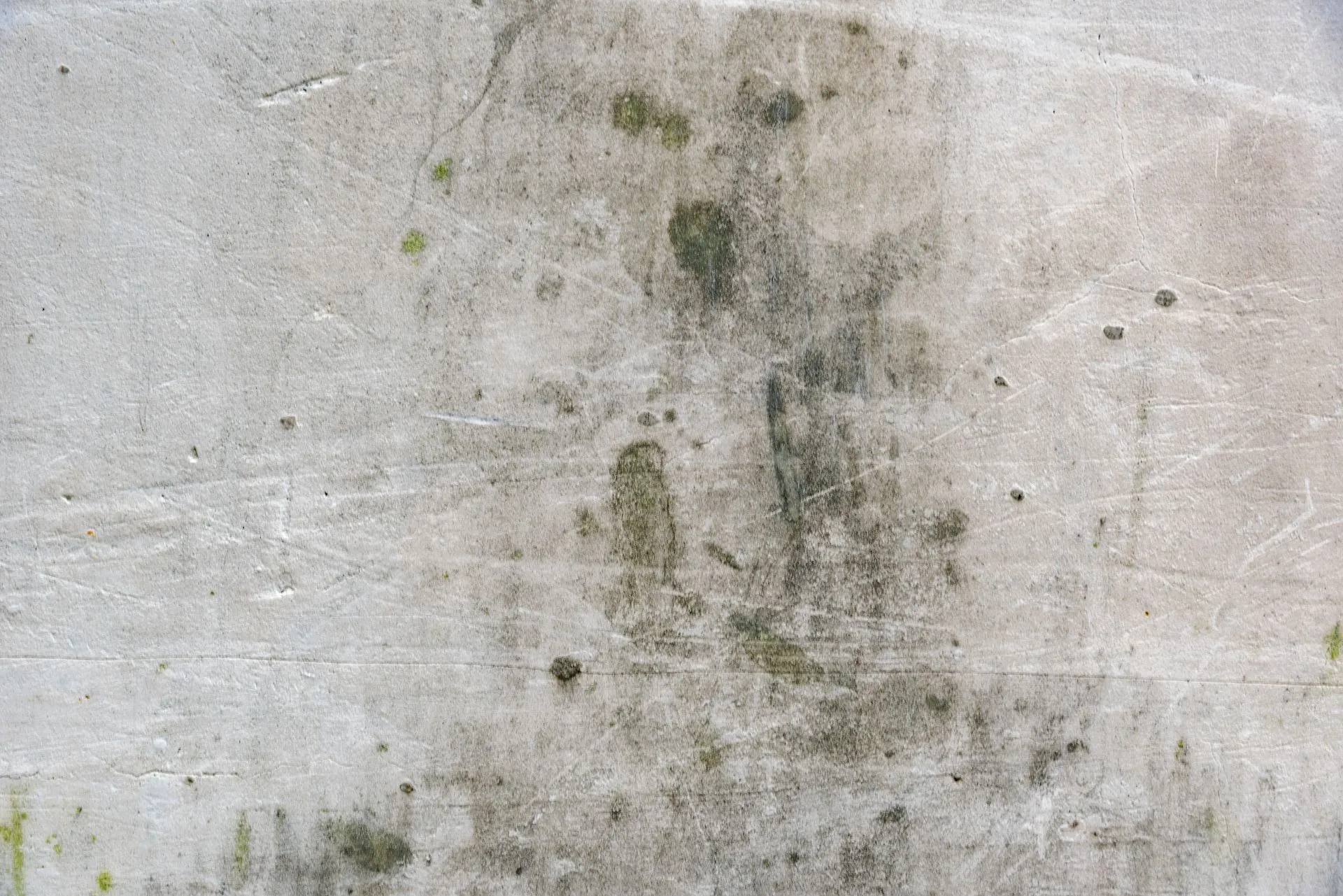 Professional mold testing in Palm Bay FL