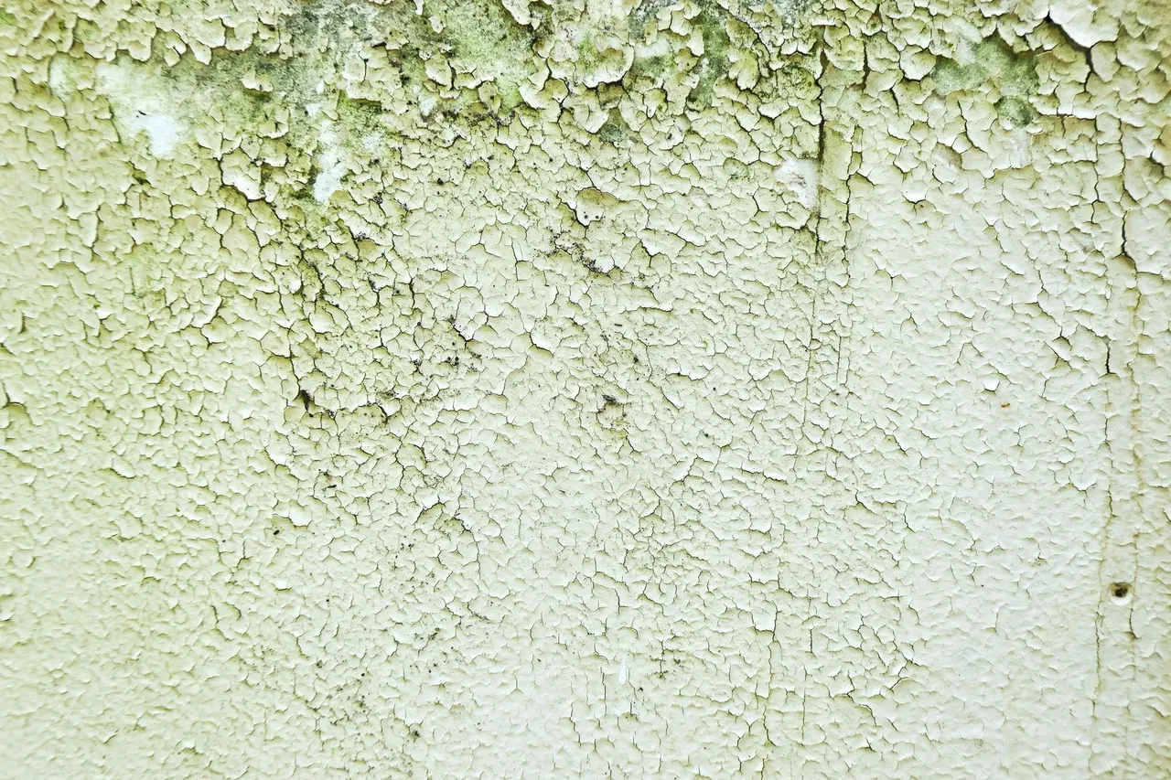 Mold testing Palm Bay FL